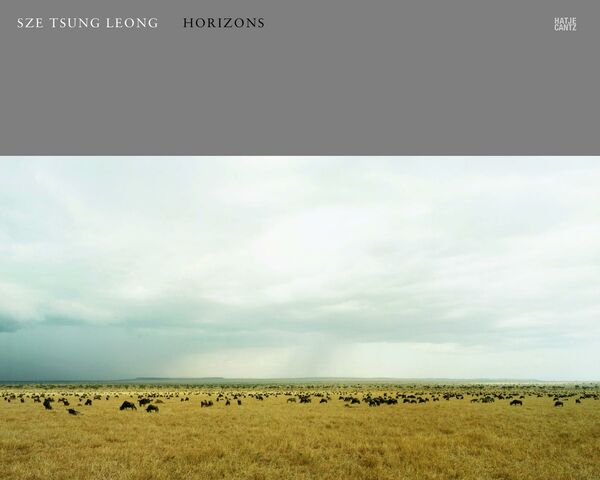 Sze Tsung Leong – Horizons