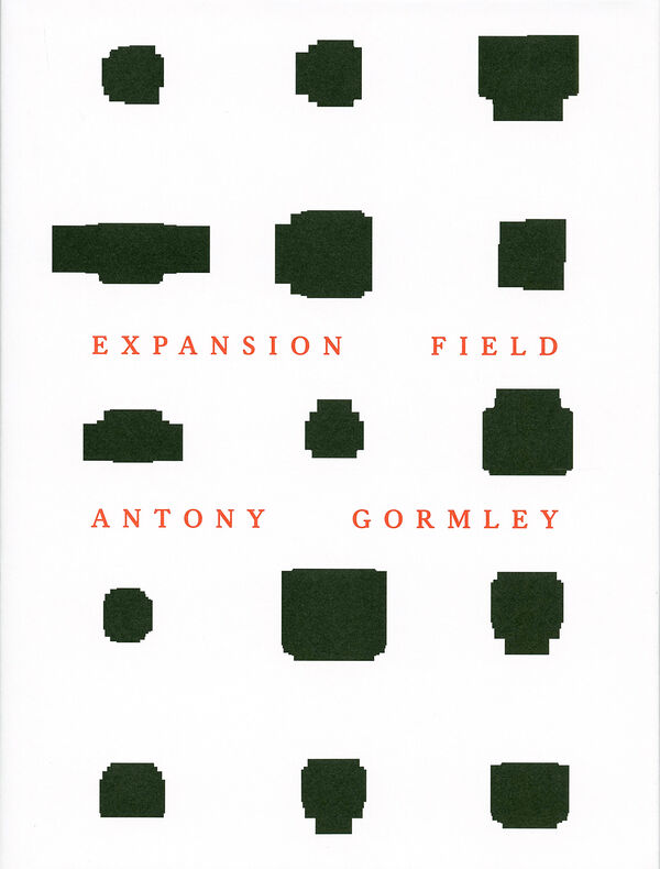 Antony Gormley – Expansion Field