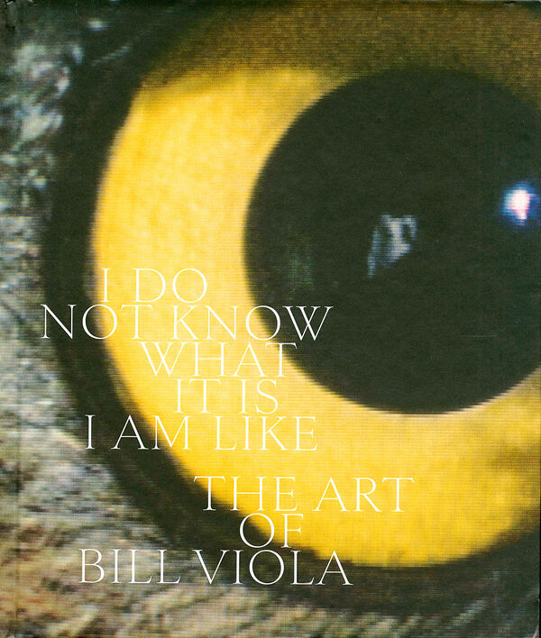 Bill Viola – I Do Not Know What It Is I Am Like