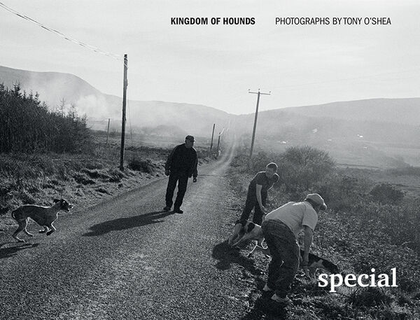 Tony O'Shea – Kingdom of Hounds | special ed.