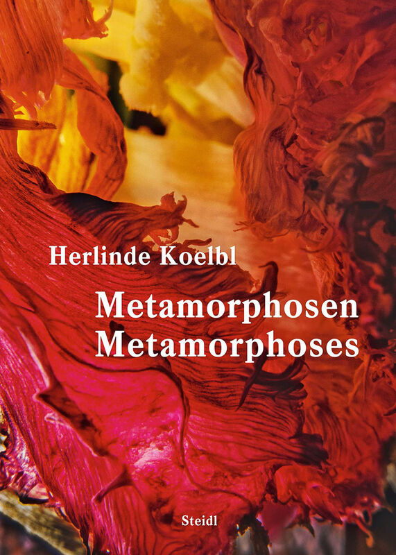 Herlinde Koelbl – Metamorphosen | Metamorphoses