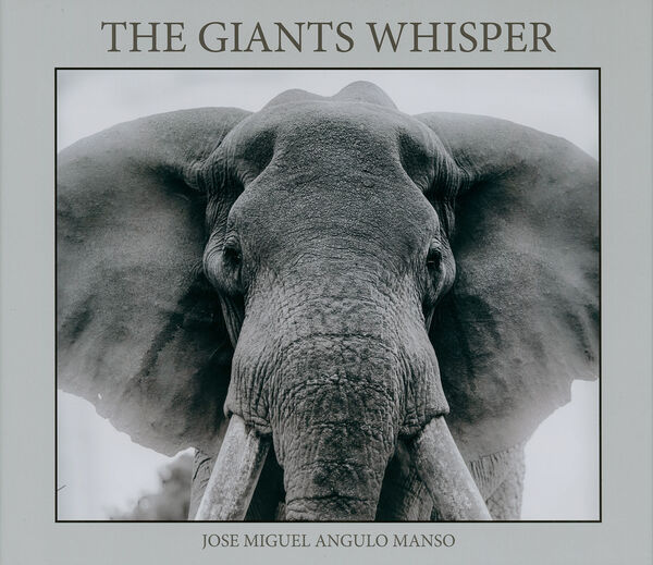 José Miguel Angulo Manso – The Giants Whisper