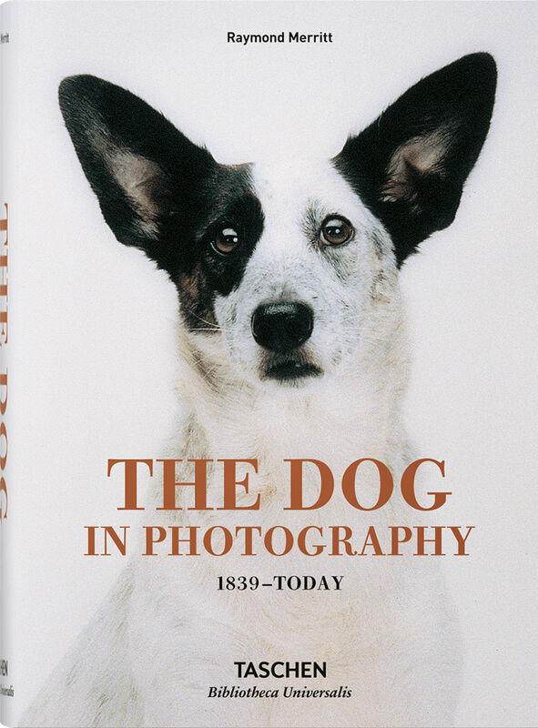 The Dog in Photography 1839–Today (*Hurt)